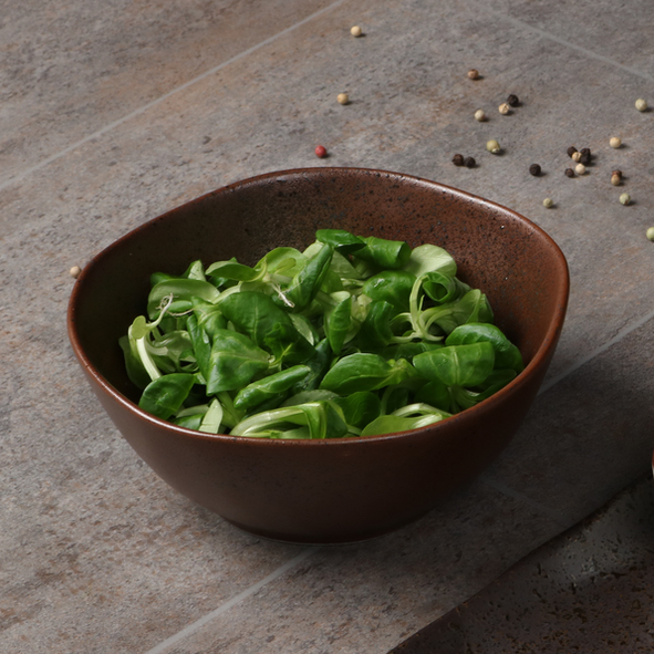 RT 217 REACTIVE TREND Bowl 17 cm / 0,80 l ''Re-Active Tierra''