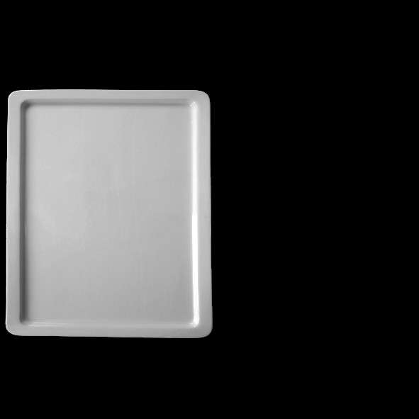 GN 1-2 20 GN-GASTRONORM Plate GN 1-2 20 mm