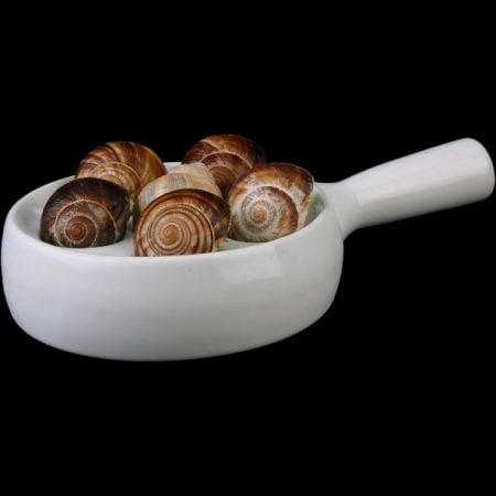 SPL 006 TESSIN Escargots plate with 6 segments